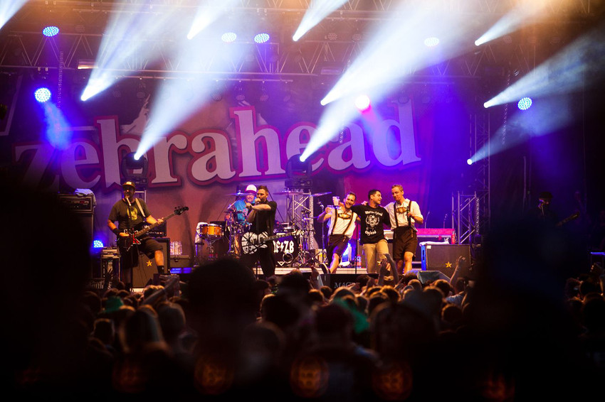 Zebrahead (live beim Mini-Rock Festival in Horb, 2014)